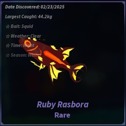 Ruby Rasbora