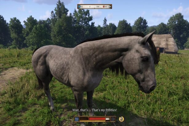 Unlocking Your Dream Ride: How to Get a Horse in Kingdom Come Deliverance 2!
