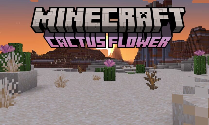 Unlocking the Secrets of Cactus Flowers in Minecraft: How to Find Them and What They Can Do!