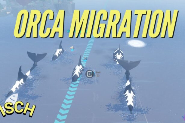 Mastering the Orca Migration Event in Fisch: A Student’s Guide to Success!