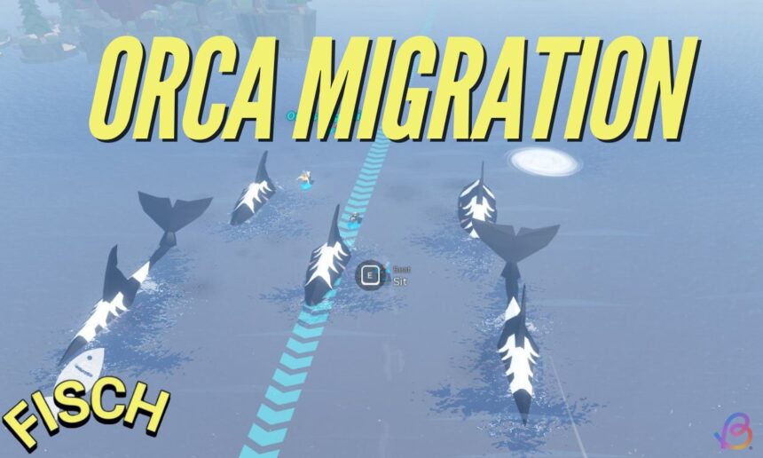 Mastering the Orca Migration Event in Fisch: A Student’s Guide to Success!