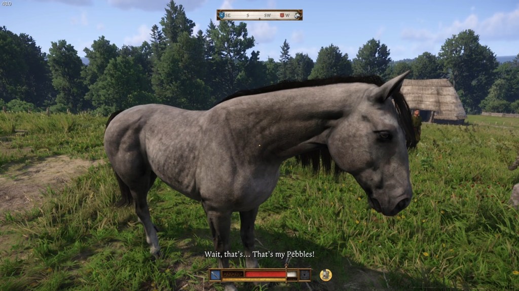 Find Your Horse!