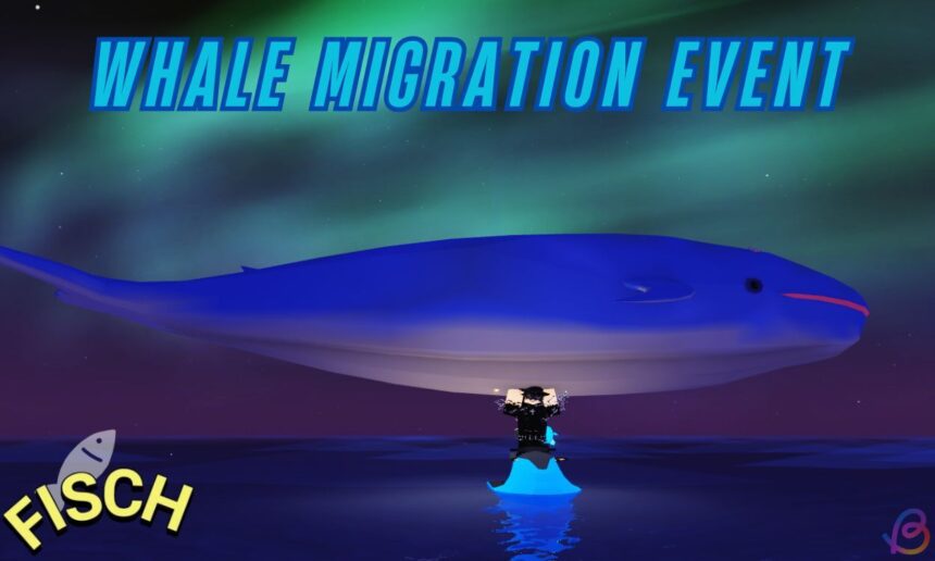 Epic Whale Quest: How to Spot and Catch Moby and Blue Whales!