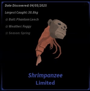 Shrimpanzee