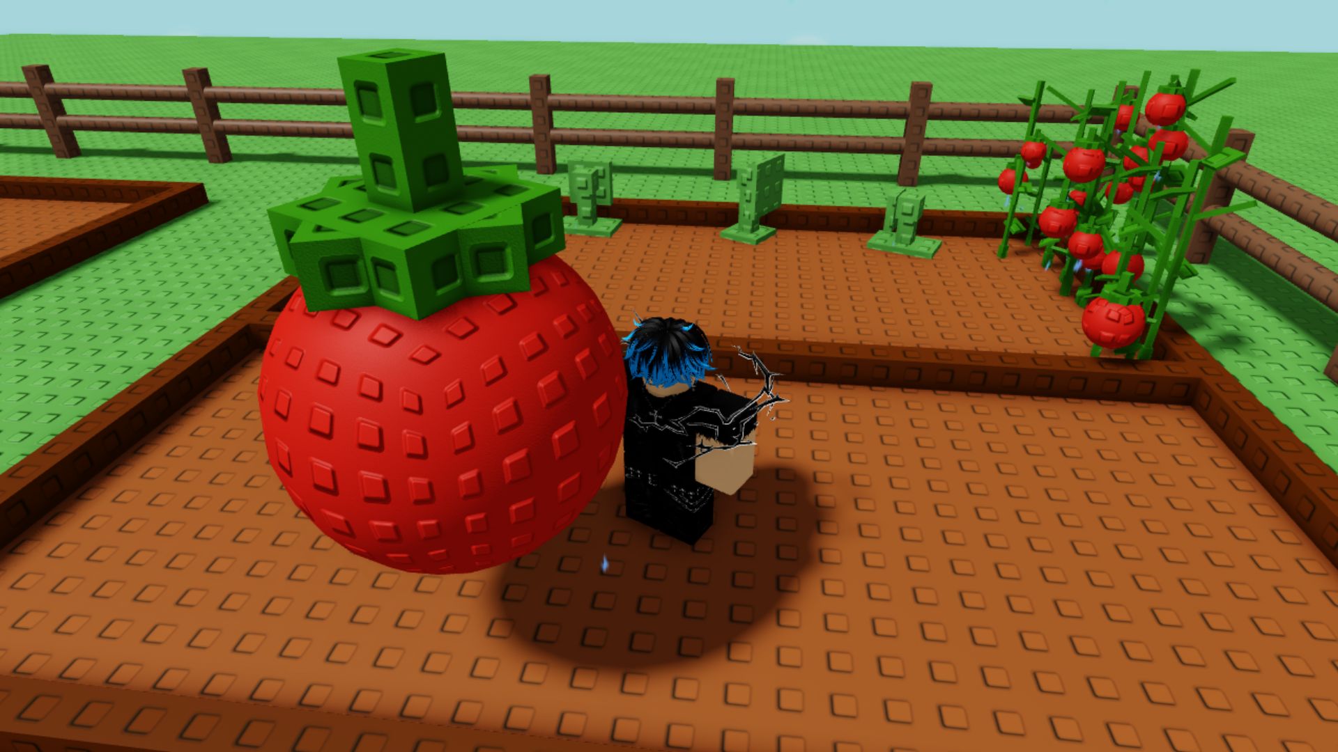 Big Tomato