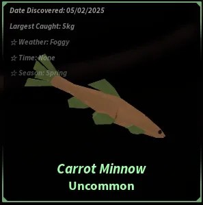 Carrot Minnow