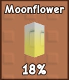 Moonflower