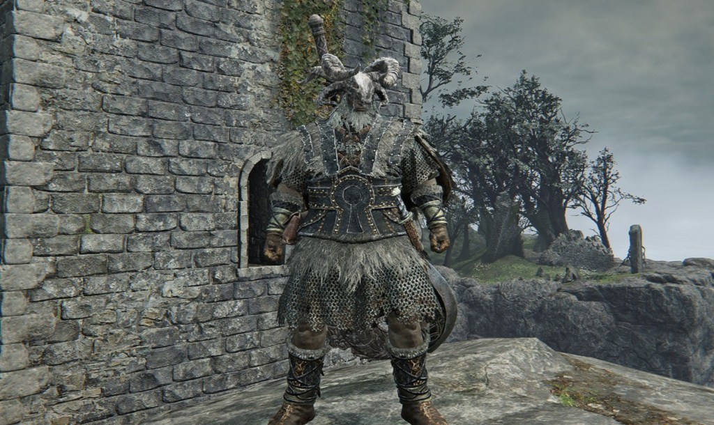 Raider in Elden Ring: Nightreign