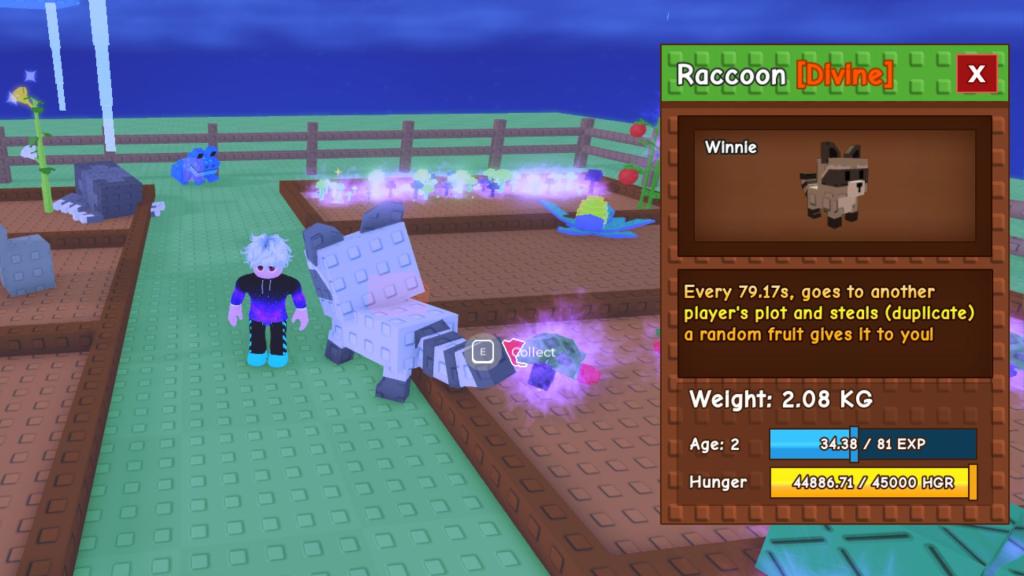 Raccoon in Grow a Garden