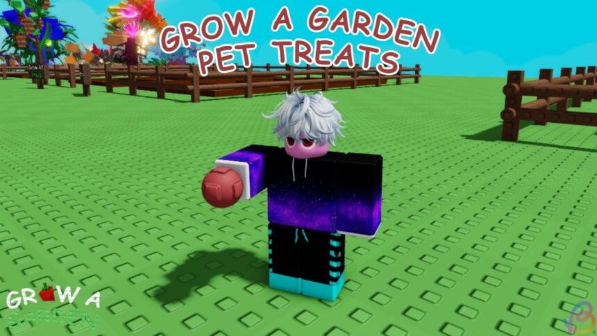 Get Ready to Pamper Your Pets: Fun Garden Treats and Toys to Make Together!